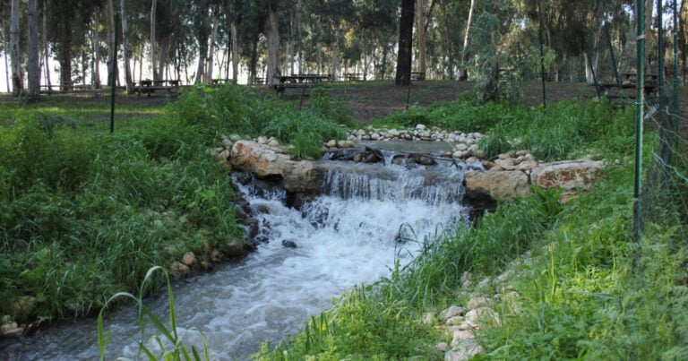מקורות הירקון